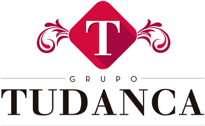 Hotel Tudanca-Aranda II 